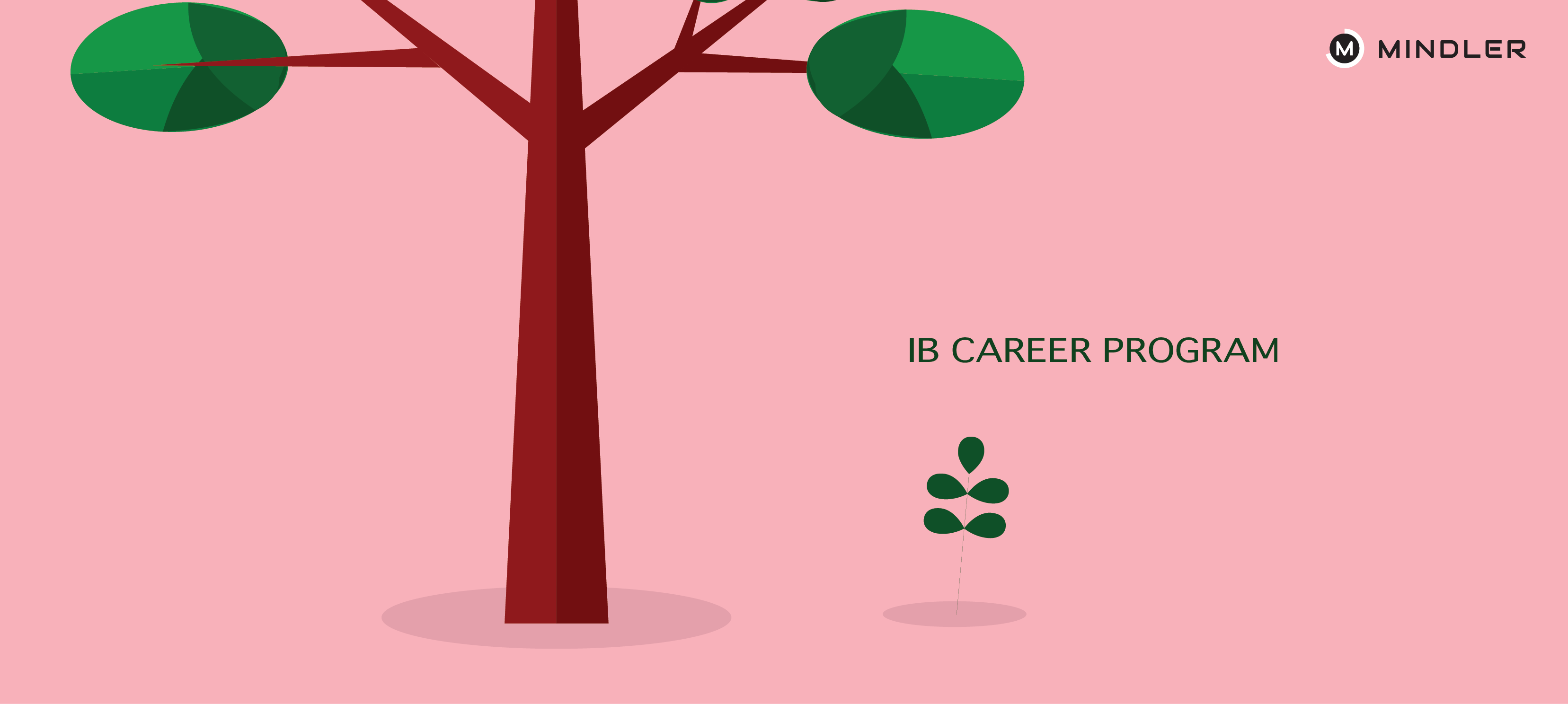 ib-diploma-programme